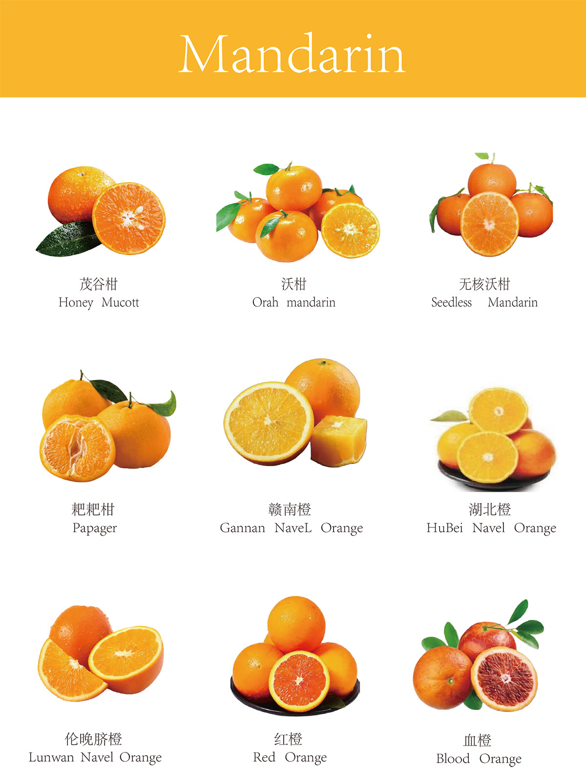 product-img09