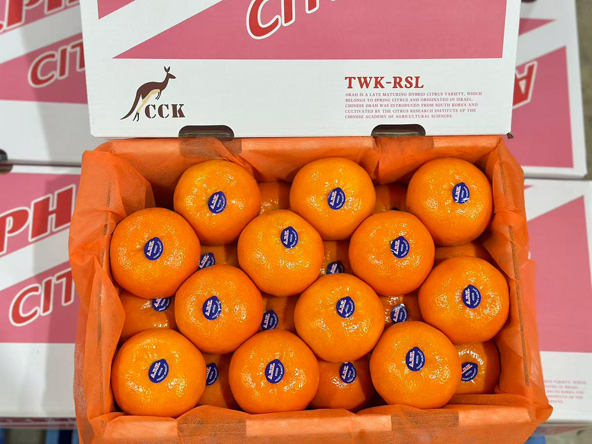 packaging12