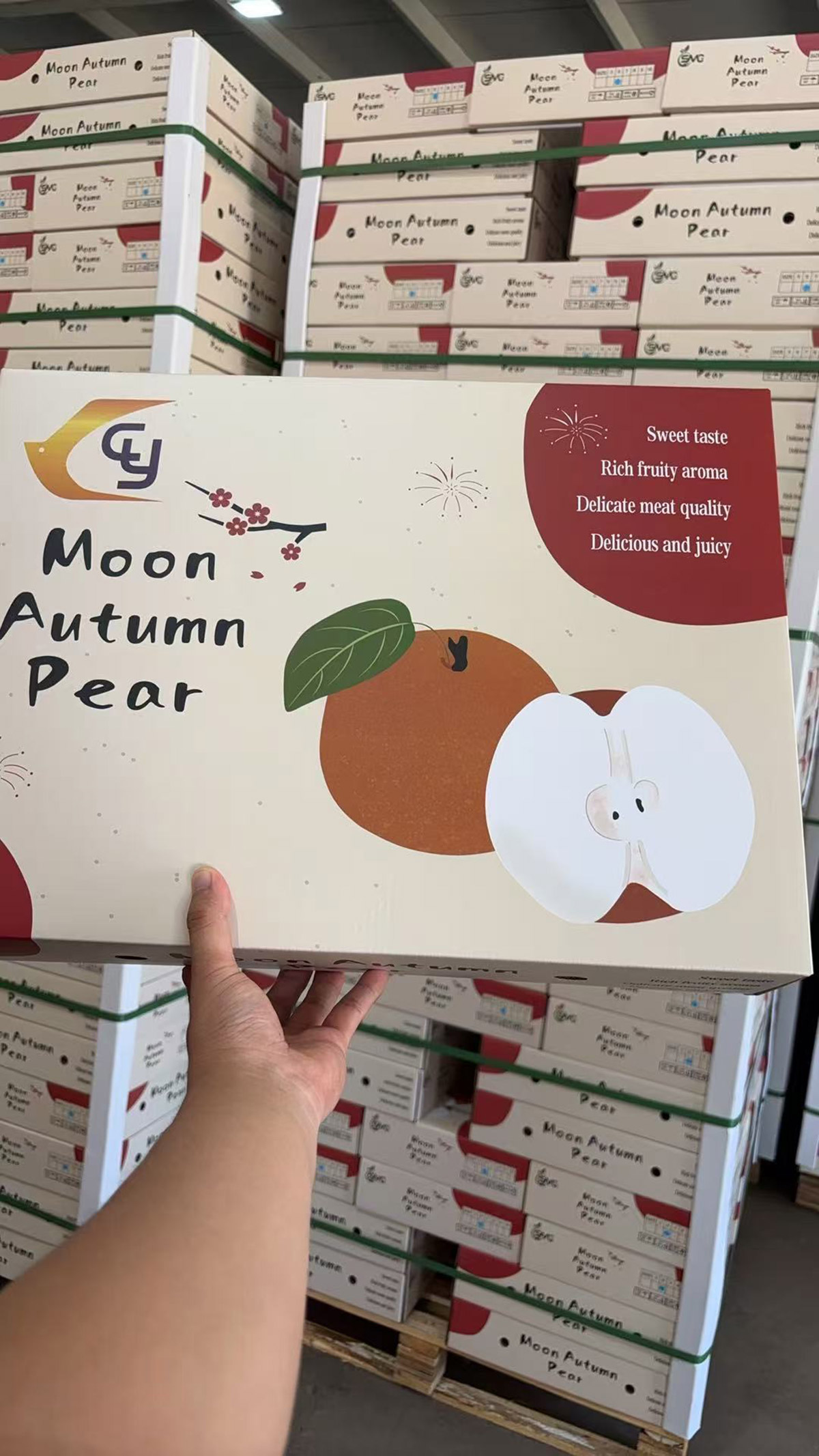 packaging14